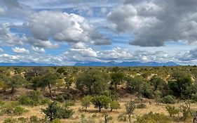 Sausage Tree Safari Camp